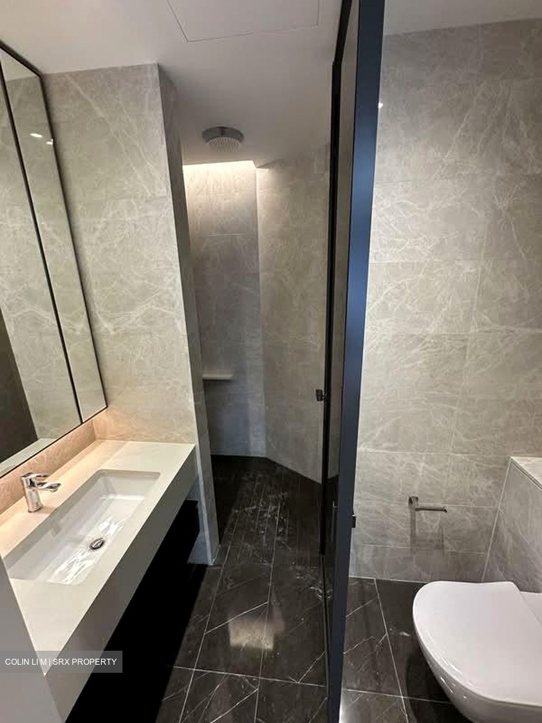 Amber Park (D15), Condominium #585018311